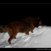 20080323_011